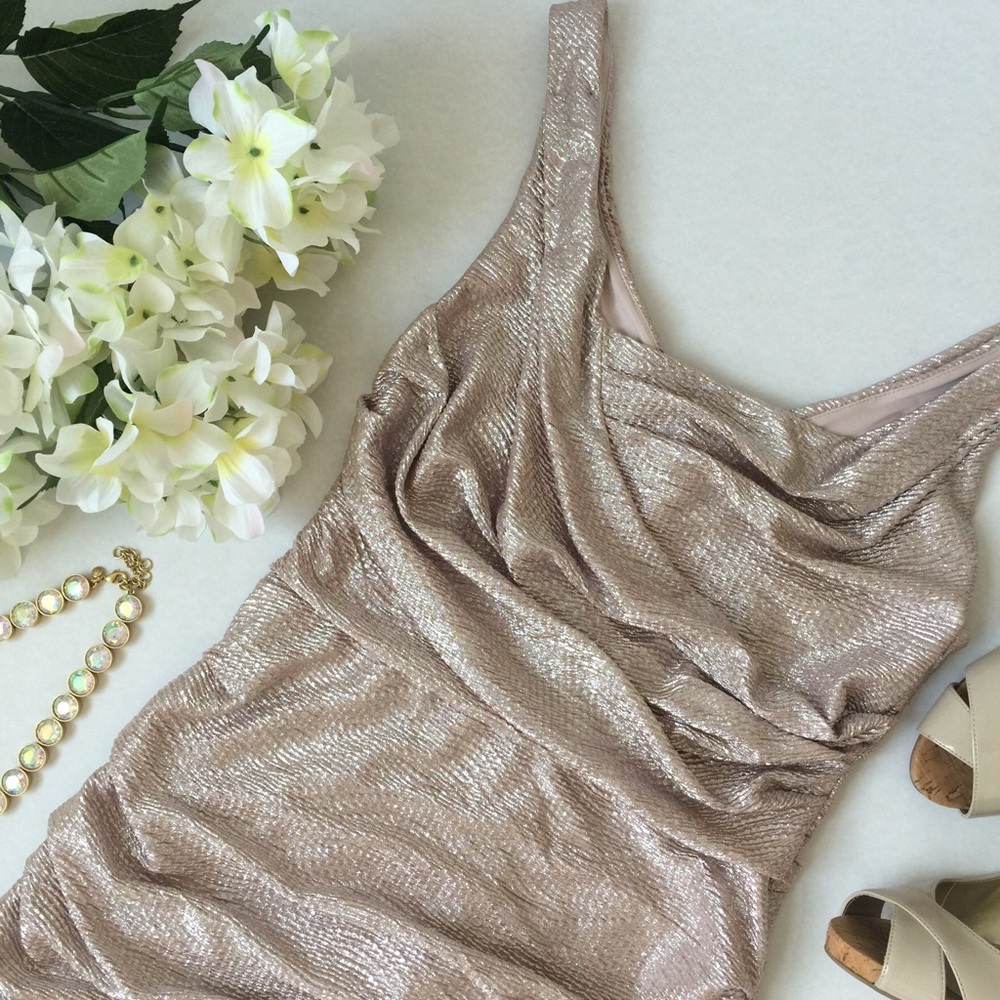 Express Shimmer Dress